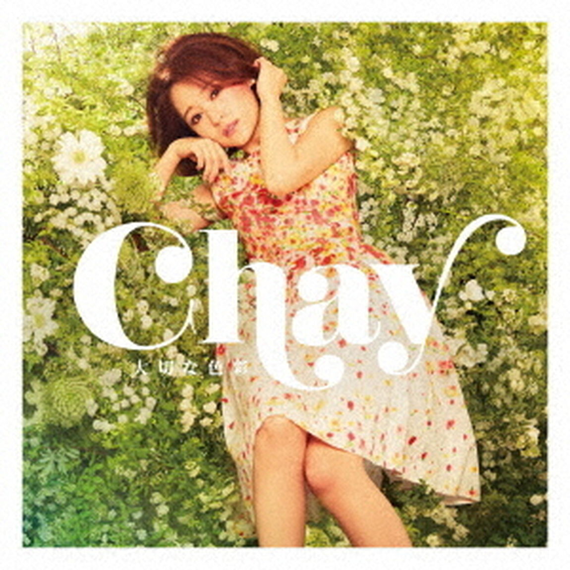 chay／大切な色彩（ＣＤ）