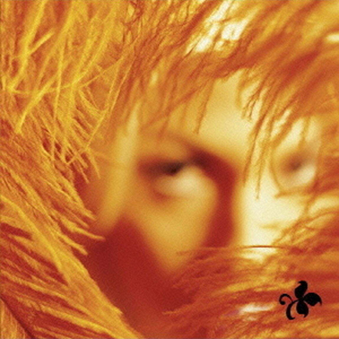 シャングリラ・ディー・ダ（ＣＤ）