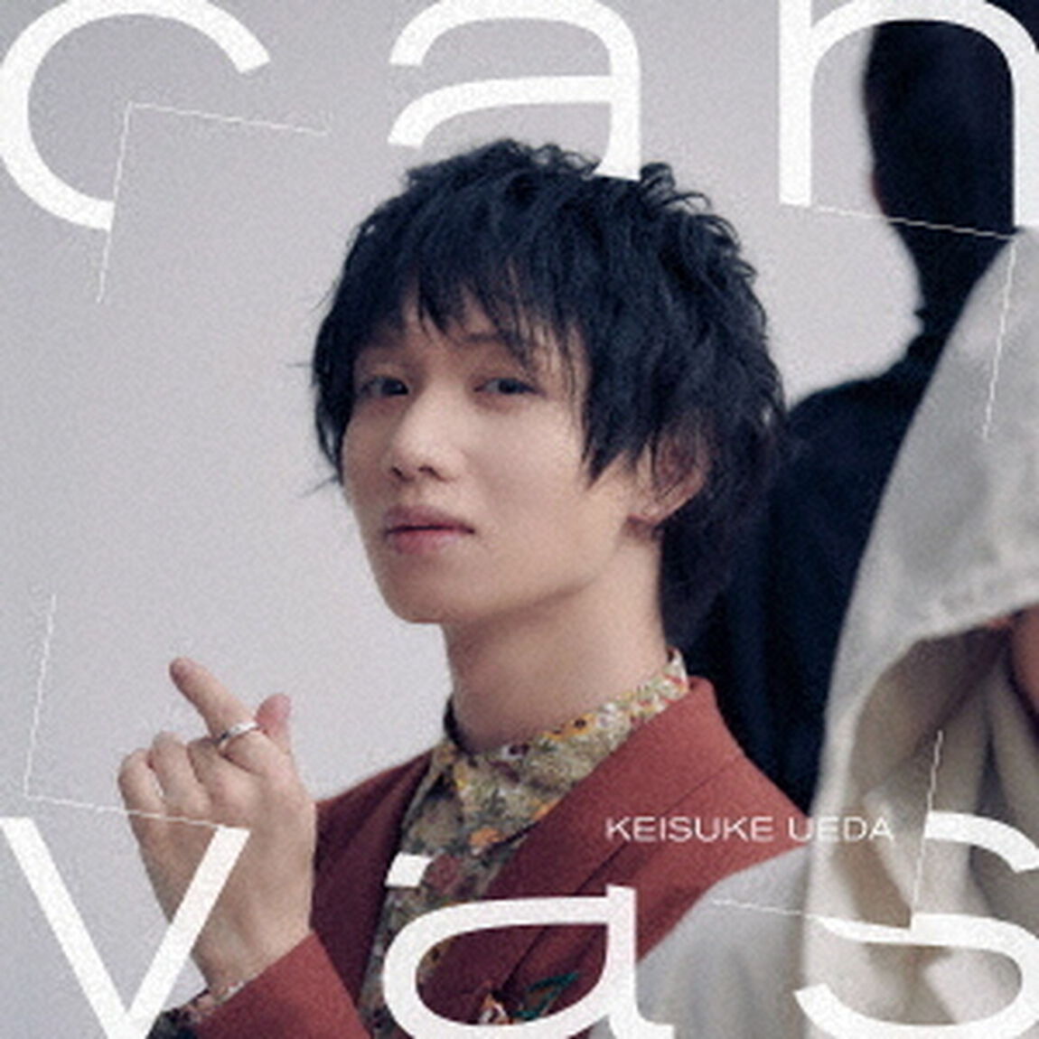 canvas（ＣＤ）