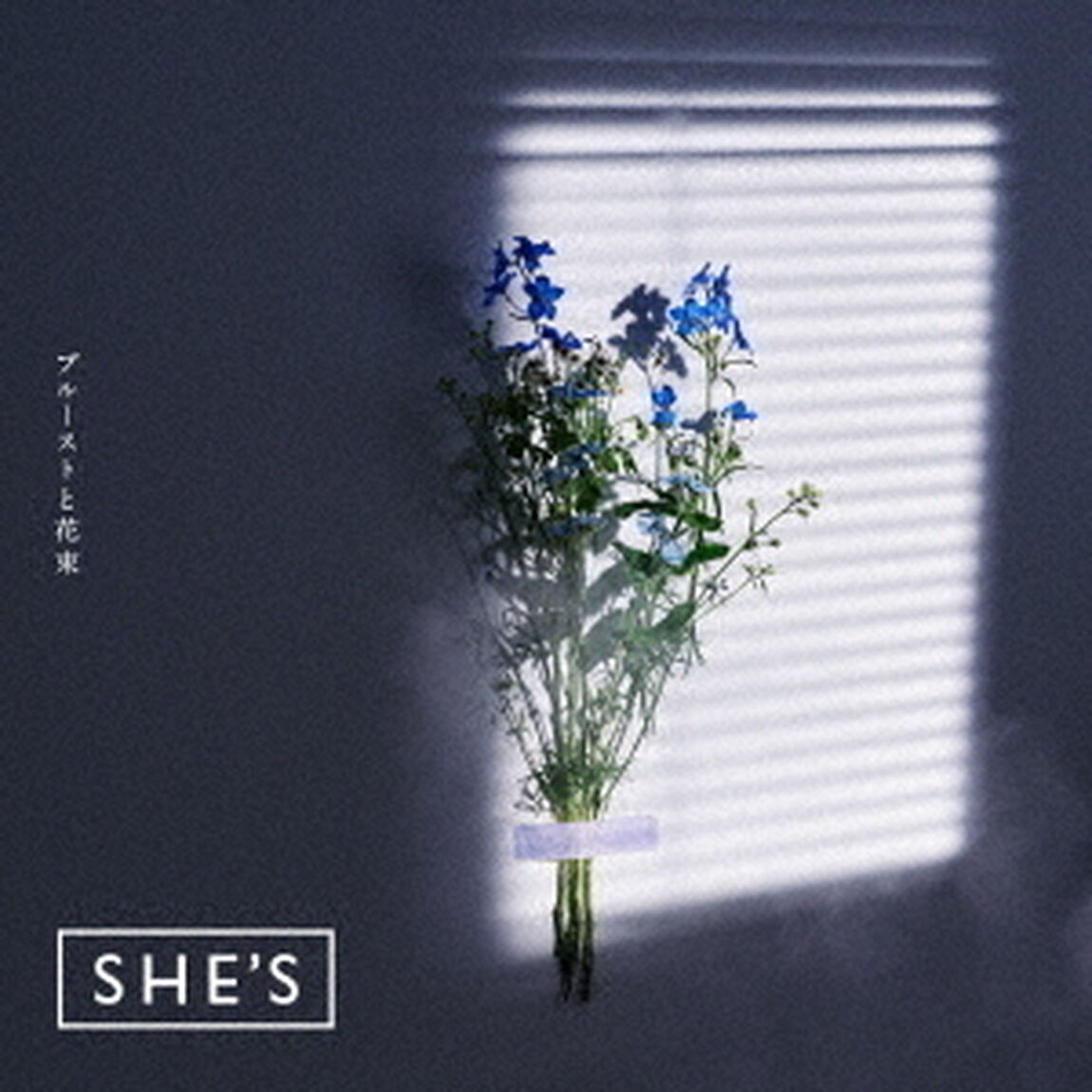 SHE'S／プルーストと花束（初回限定盤）（ＣＤ）
