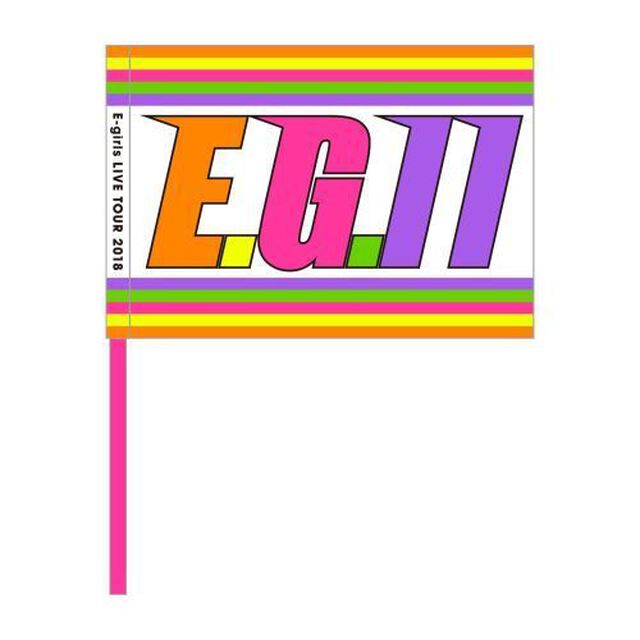 E.G. 11 フラッグ（その他）
