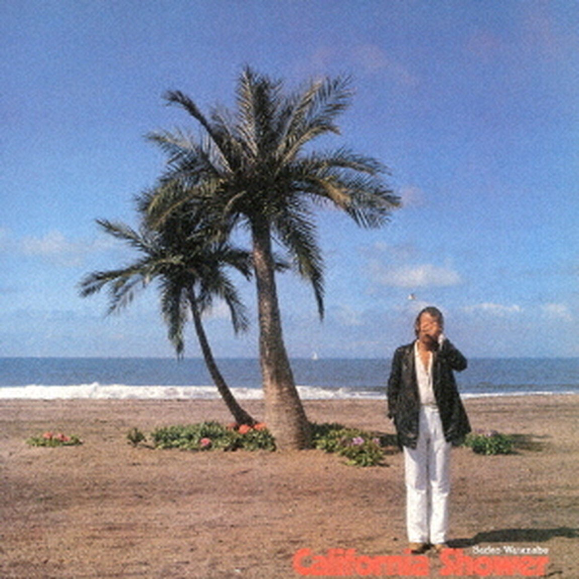 カリフォルニア・シャワー（ＣＤ）