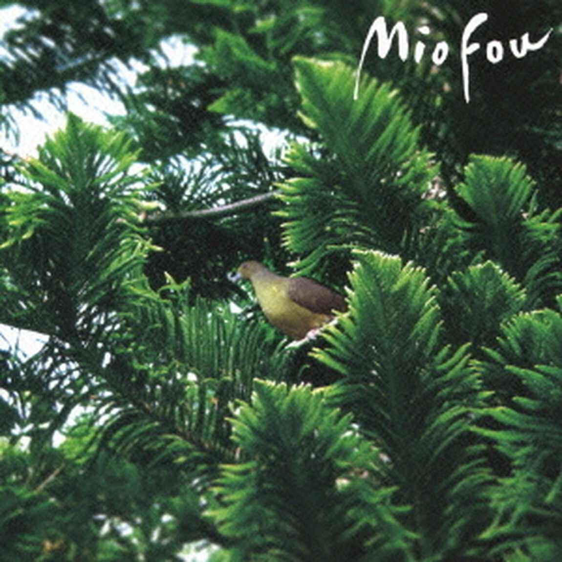 ミオ　フー　Ⅲ（ＣＤ）