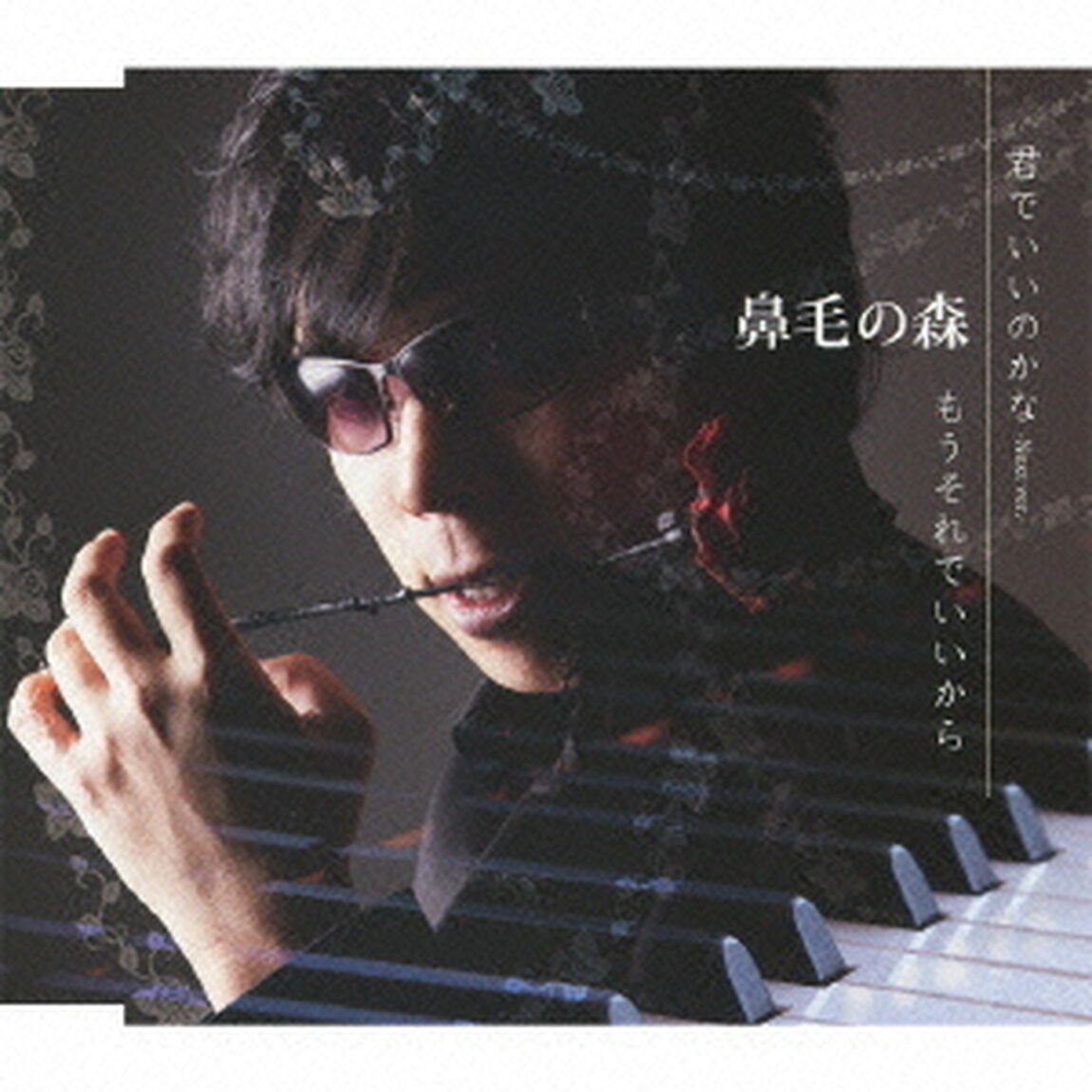 君でいいのかな　－Next　ver．－／もうそれでいいから（ＣＤ）