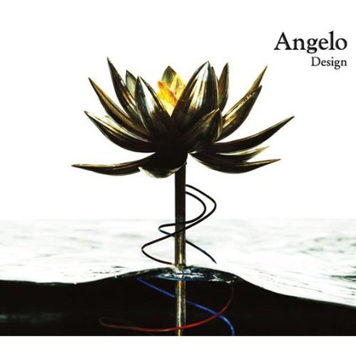 Design（スペシャルパッケージ盤／初回生産限定盤）（ＣＤ）