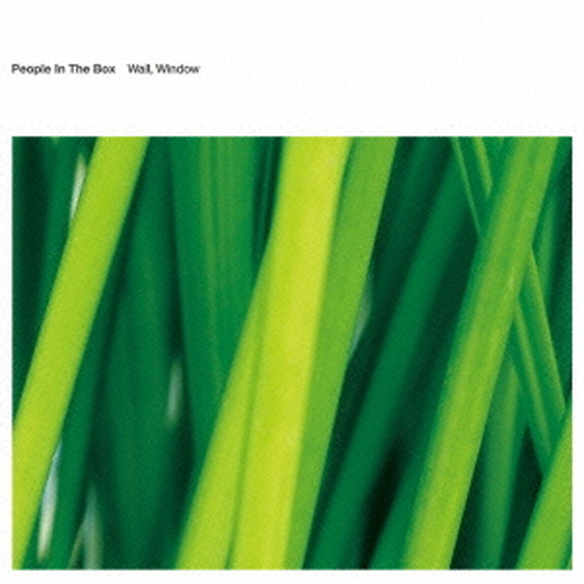 Wall，Window（ＣＤ）