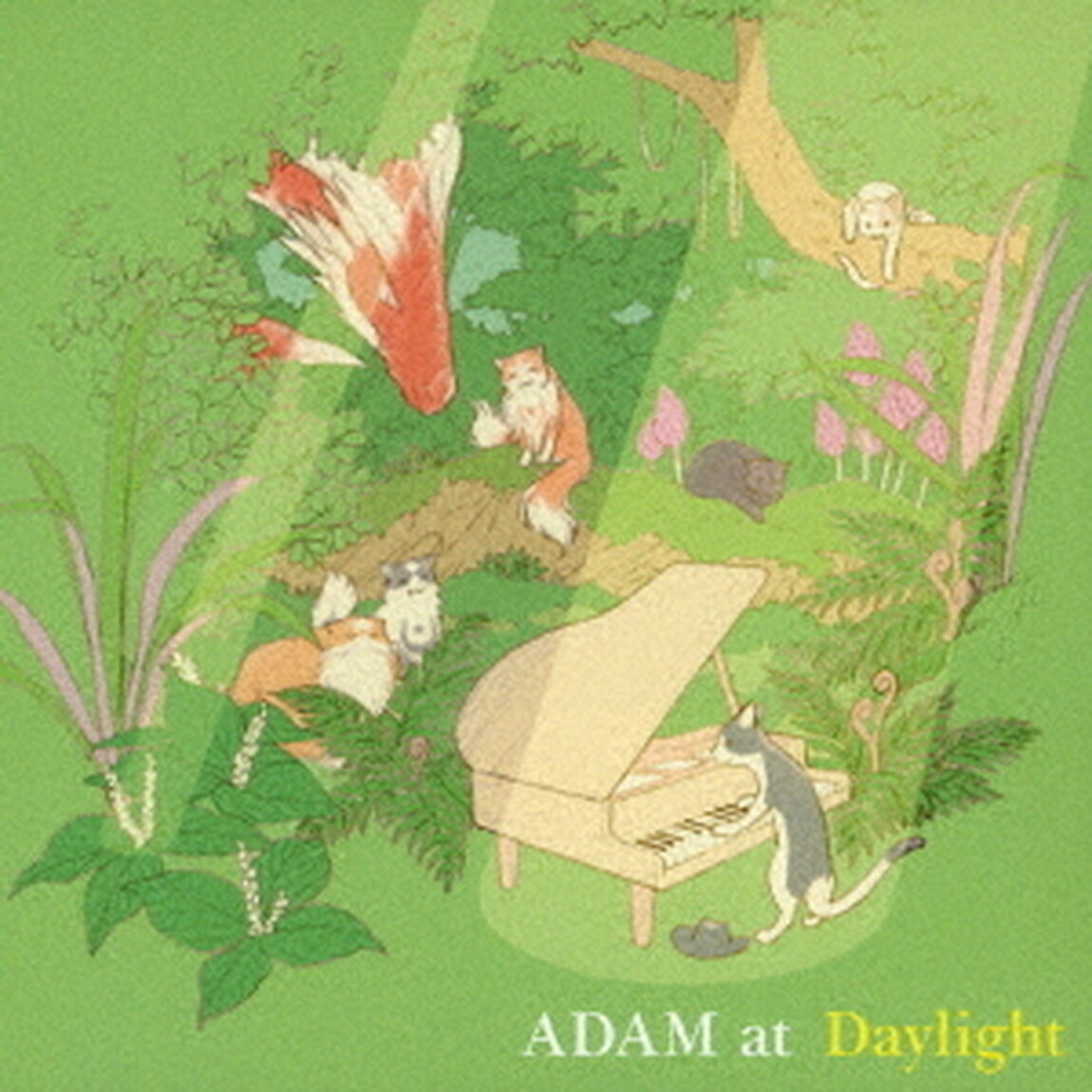 Daylight（ＣＤ）