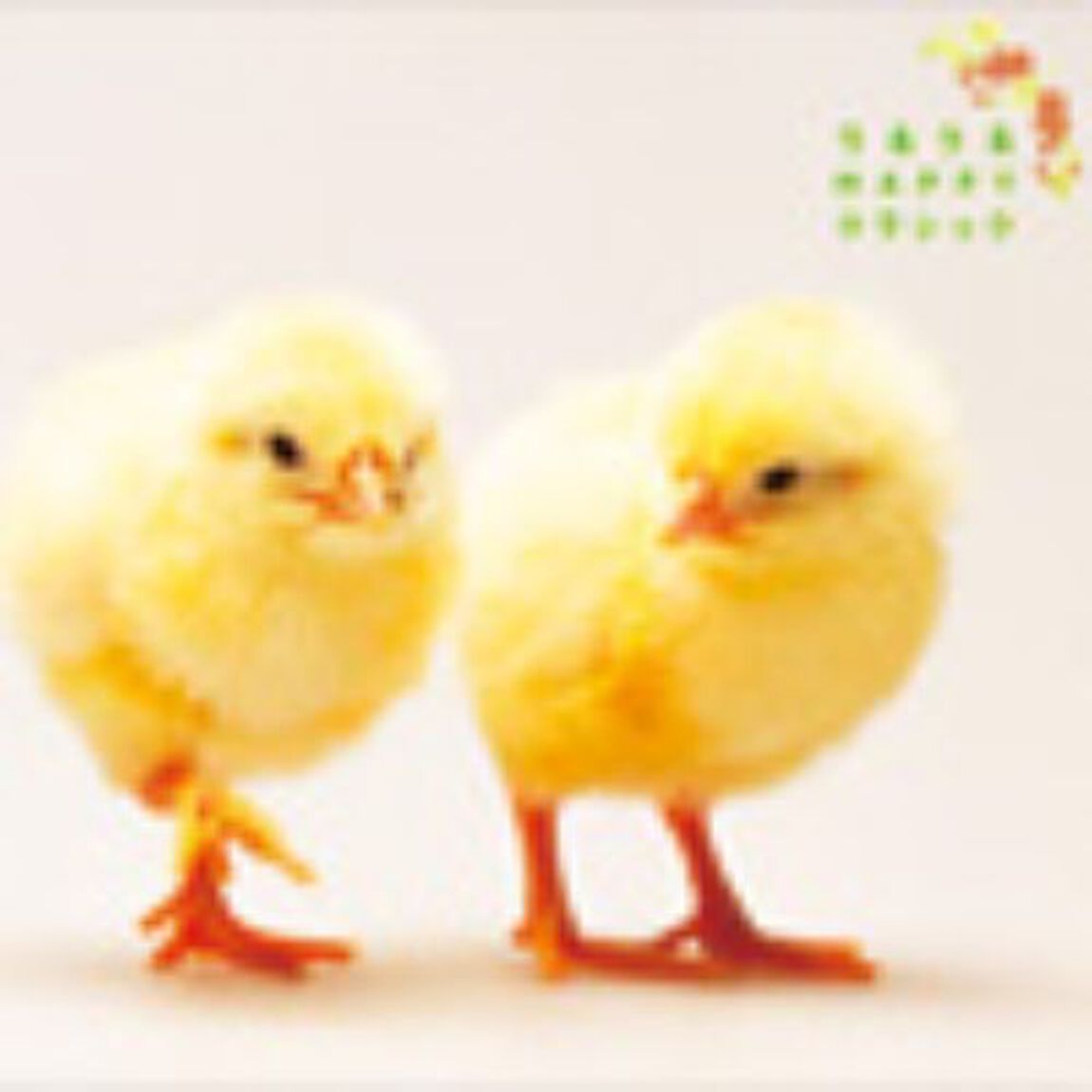 うるうるHAPPYクラシック（ＣＤ）