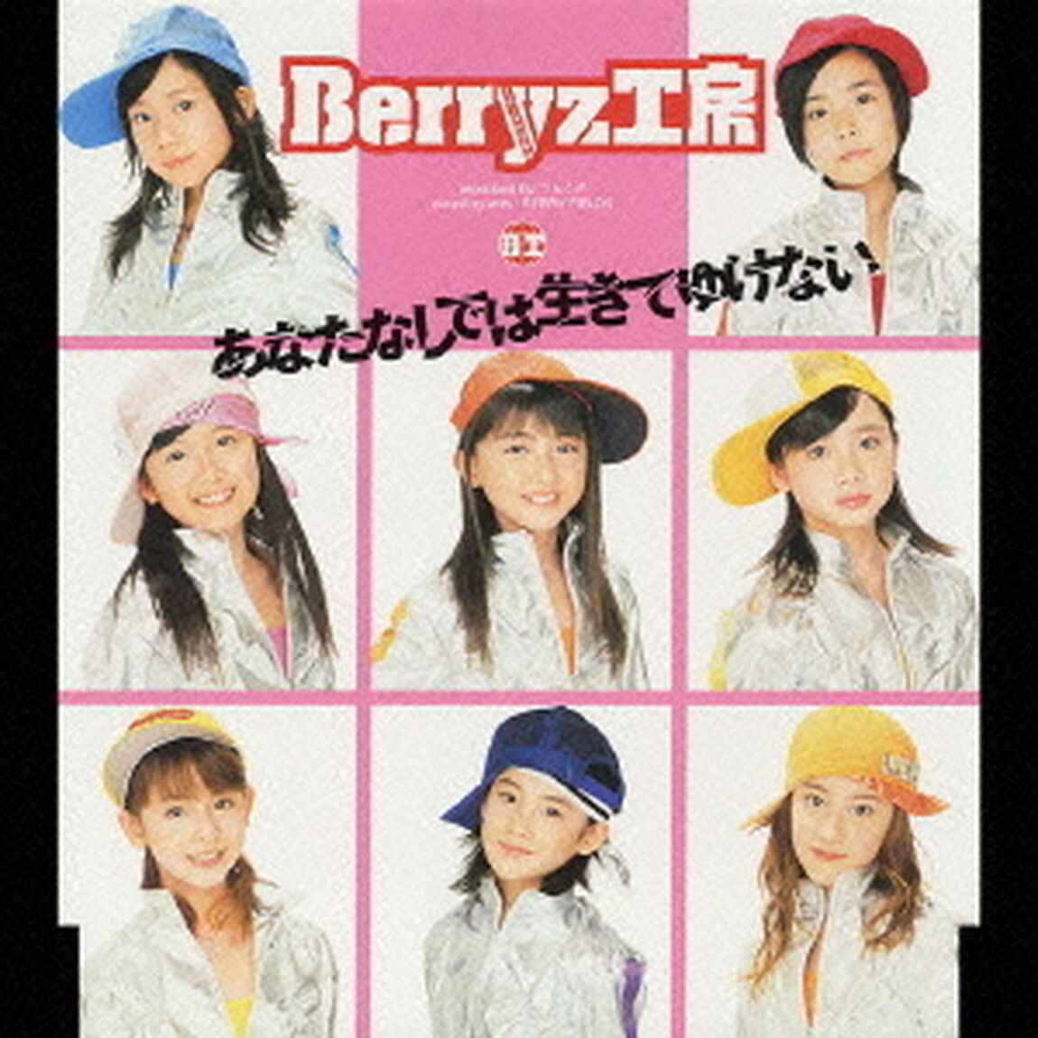 あなたなしでは生きてゆけない（CDシングル）