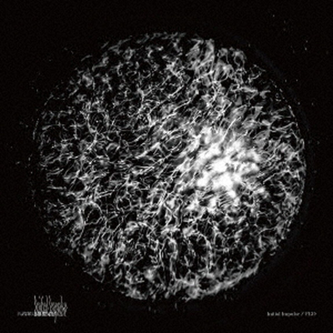 Initial　Impulse（ＣＤ）