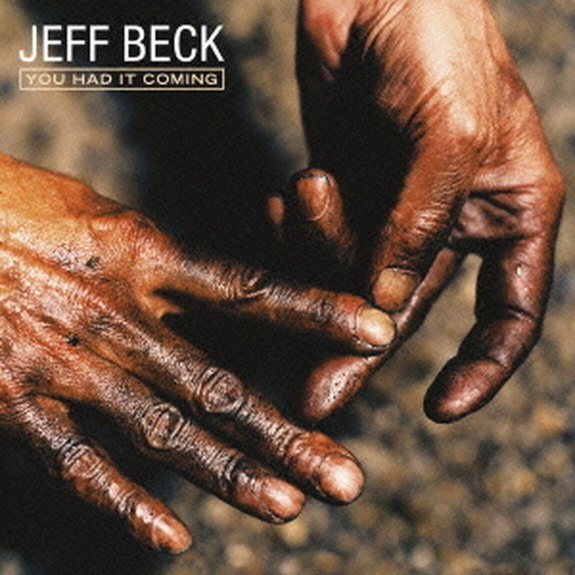 ユー・ハッド・イット・カミング（ＣＤ）