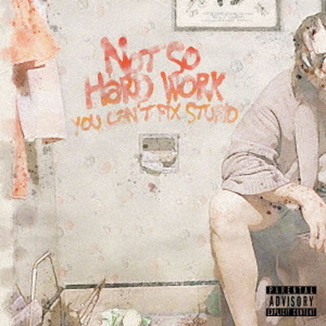 You　can&rsquo;t　fix　stupid（ＣＤ）