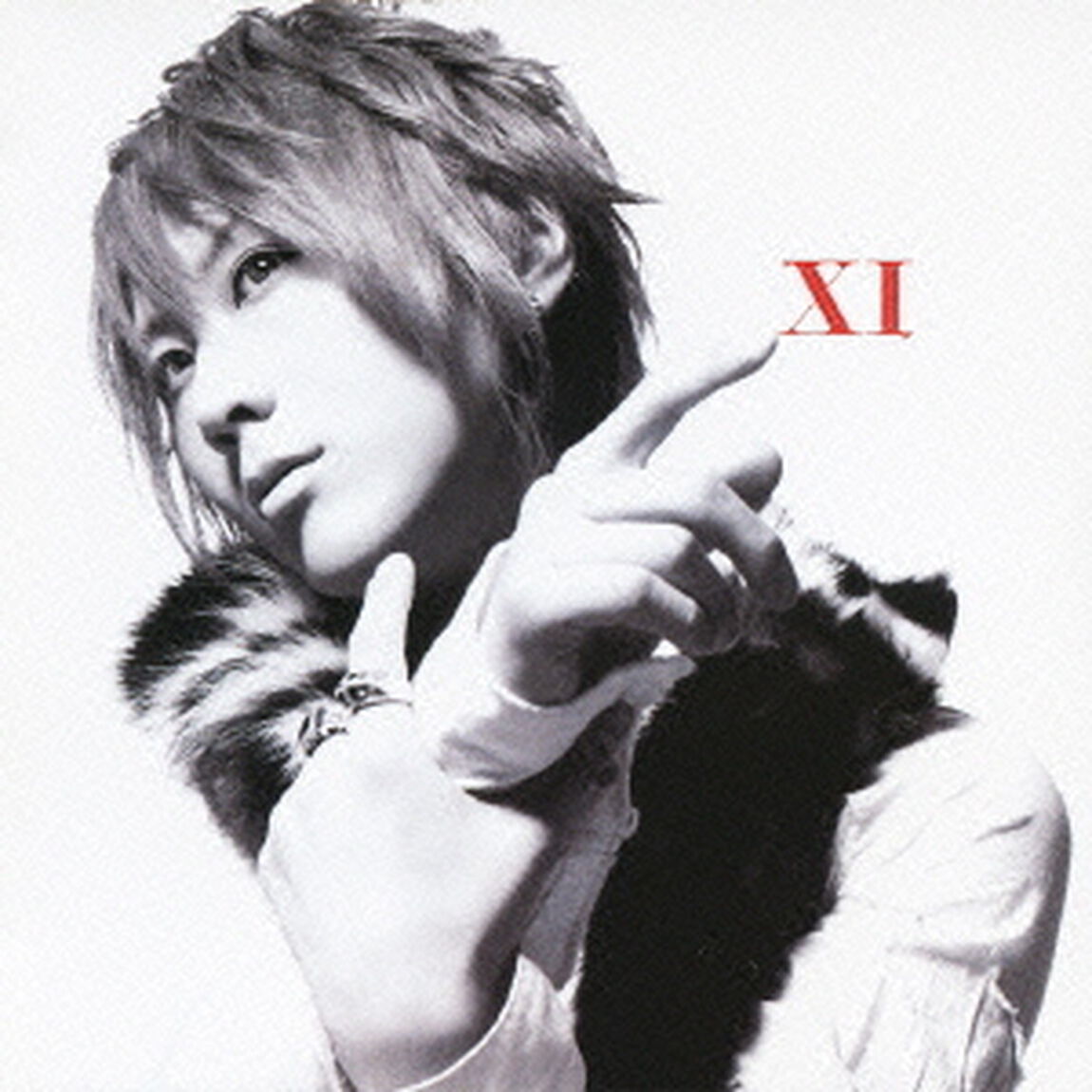 ⅩⅠ（ＣＤ）