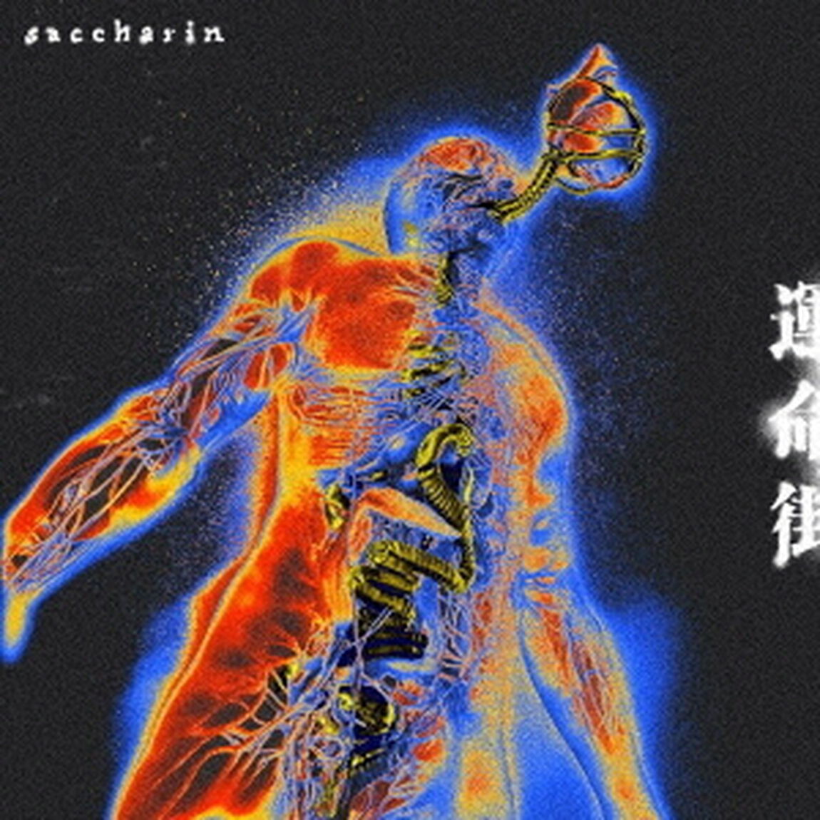 運命街（ＣＤ）