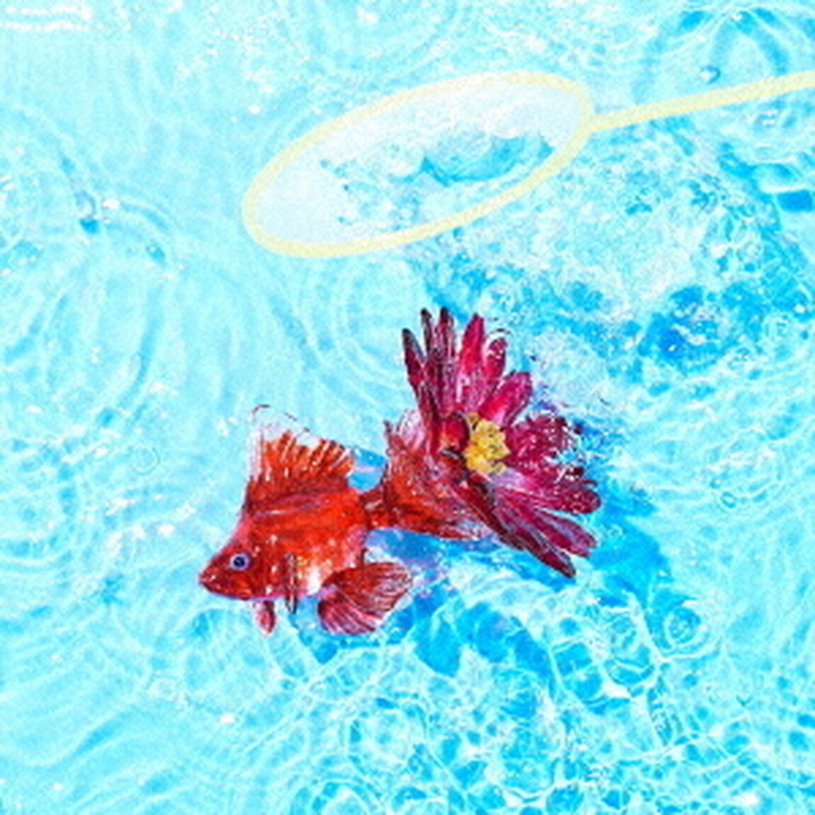 アスター（ＣＤ）