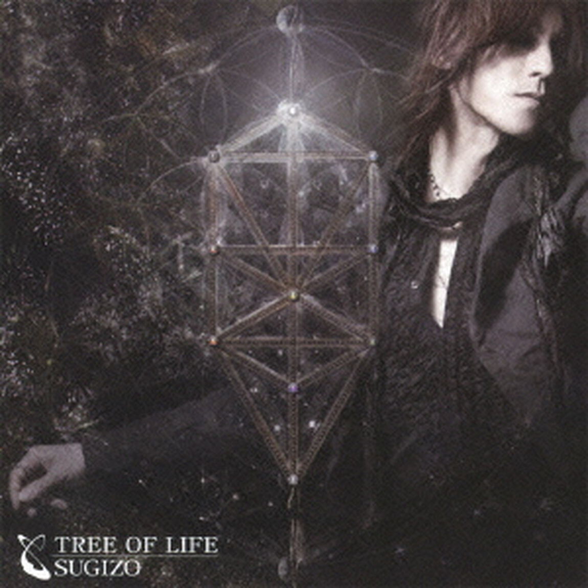 TREE　OF　LIFE（ＣＤ）