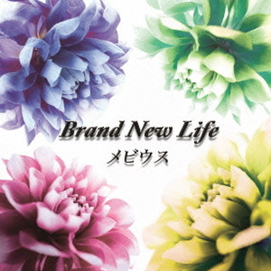 Brand　New　Life（ＣＤ）