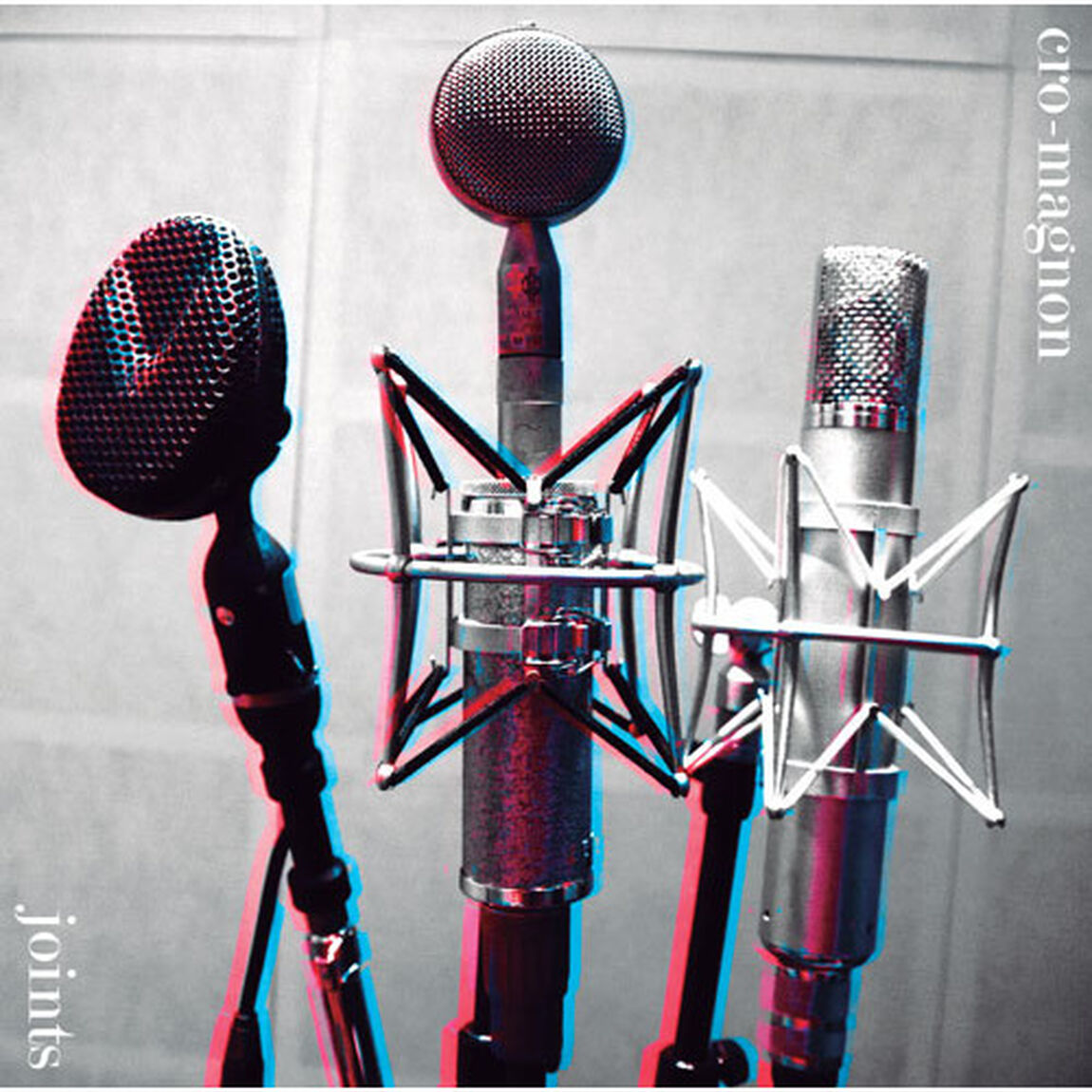 joints（ＣＤ）