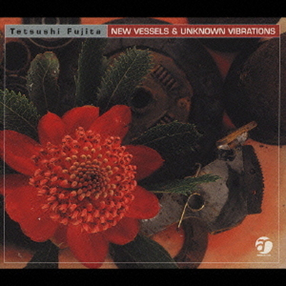 NEW　VESSELS　＆　UNKNOWN　VIBRATIONS（ＣＤ）