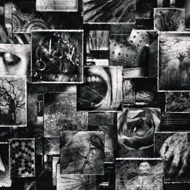ENIGMA（ＣＤ）