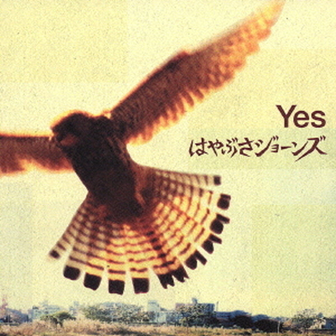 Yes（ＣＤ）