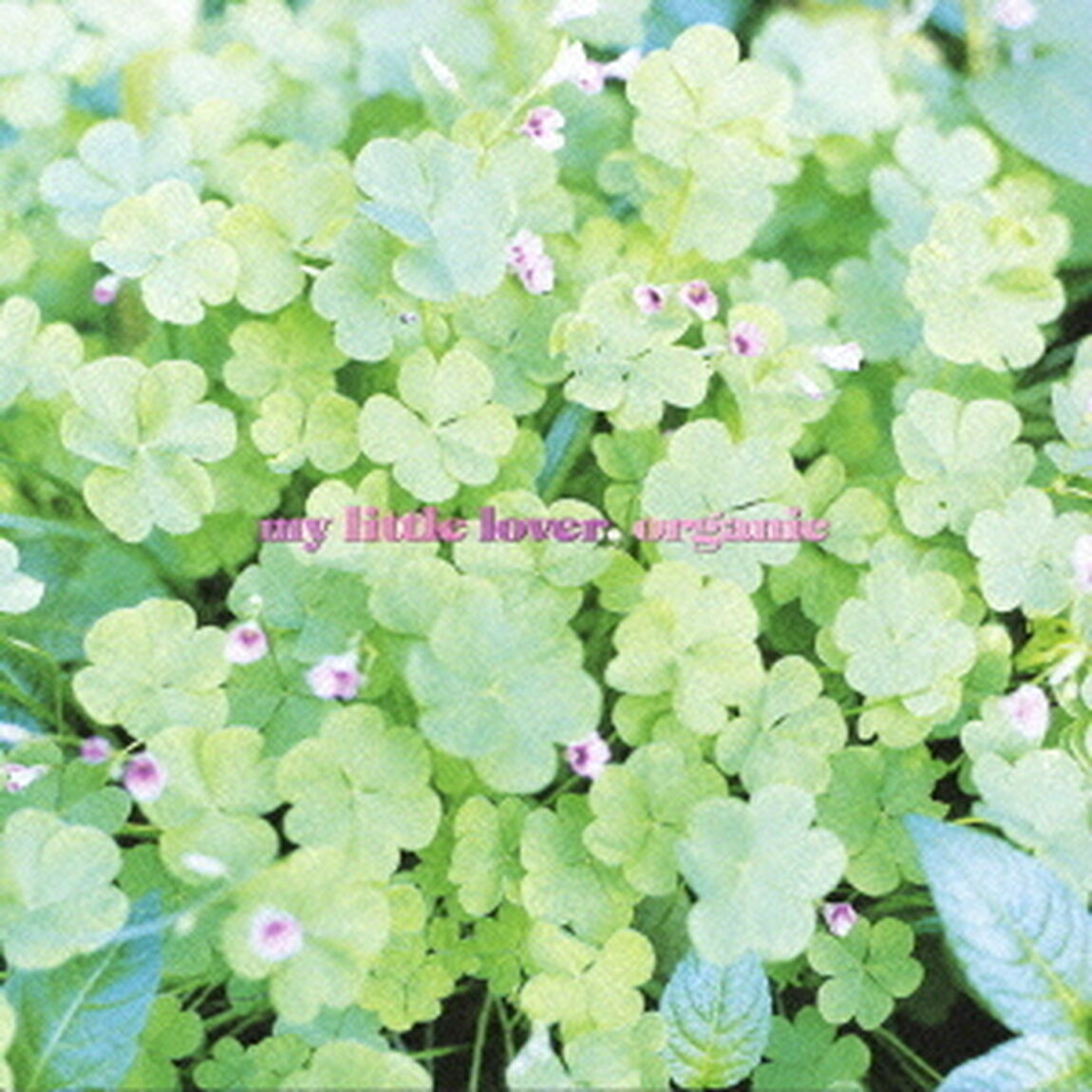 organic（ＣＤ）