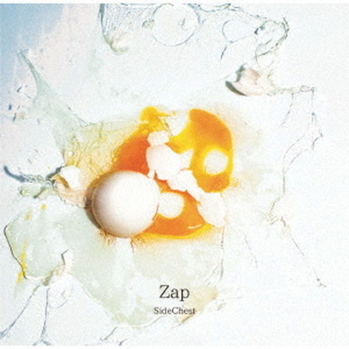 Zap（ＣＤ）