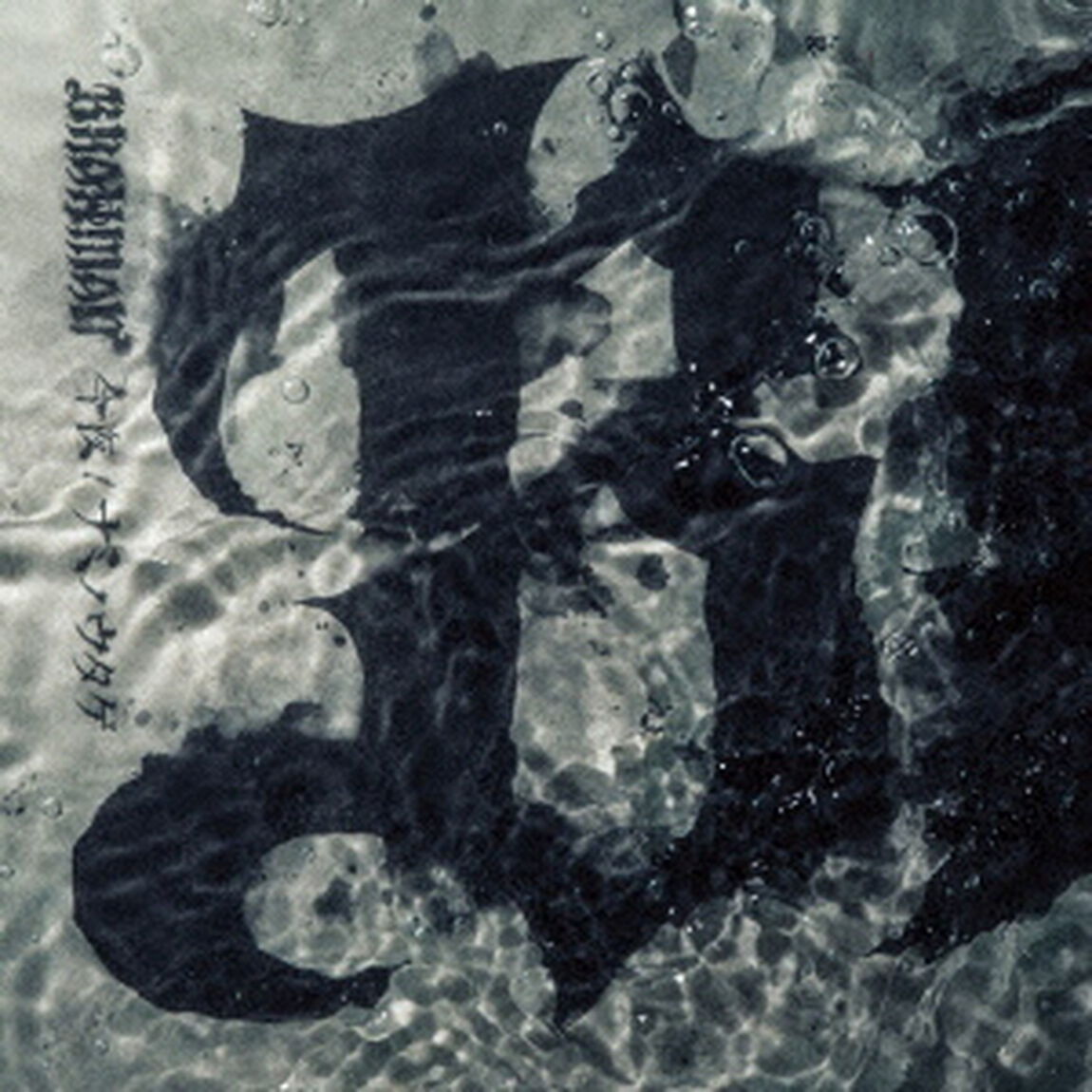 今夜／ナミノウタゲ（ＣＤ）