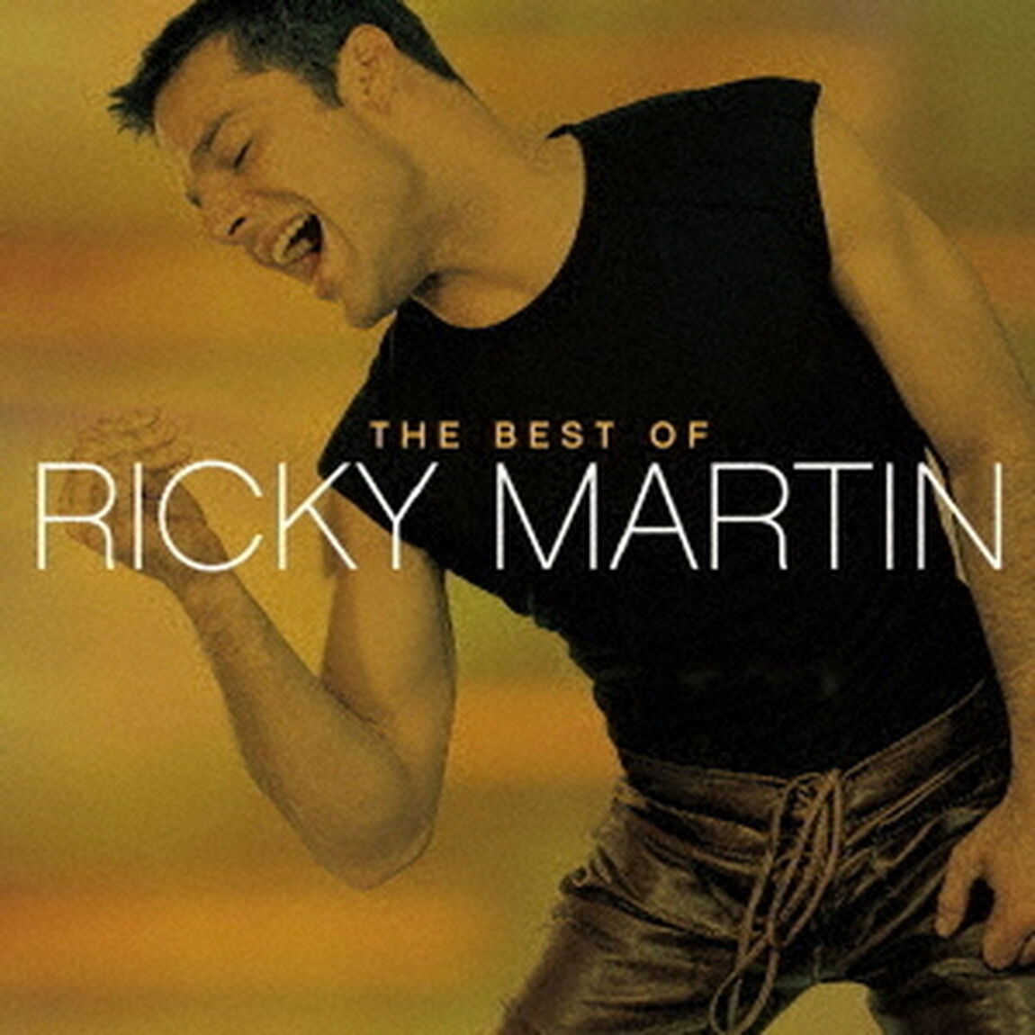 ベスト・オブ・リッキー・マーティン（ＣＤ）