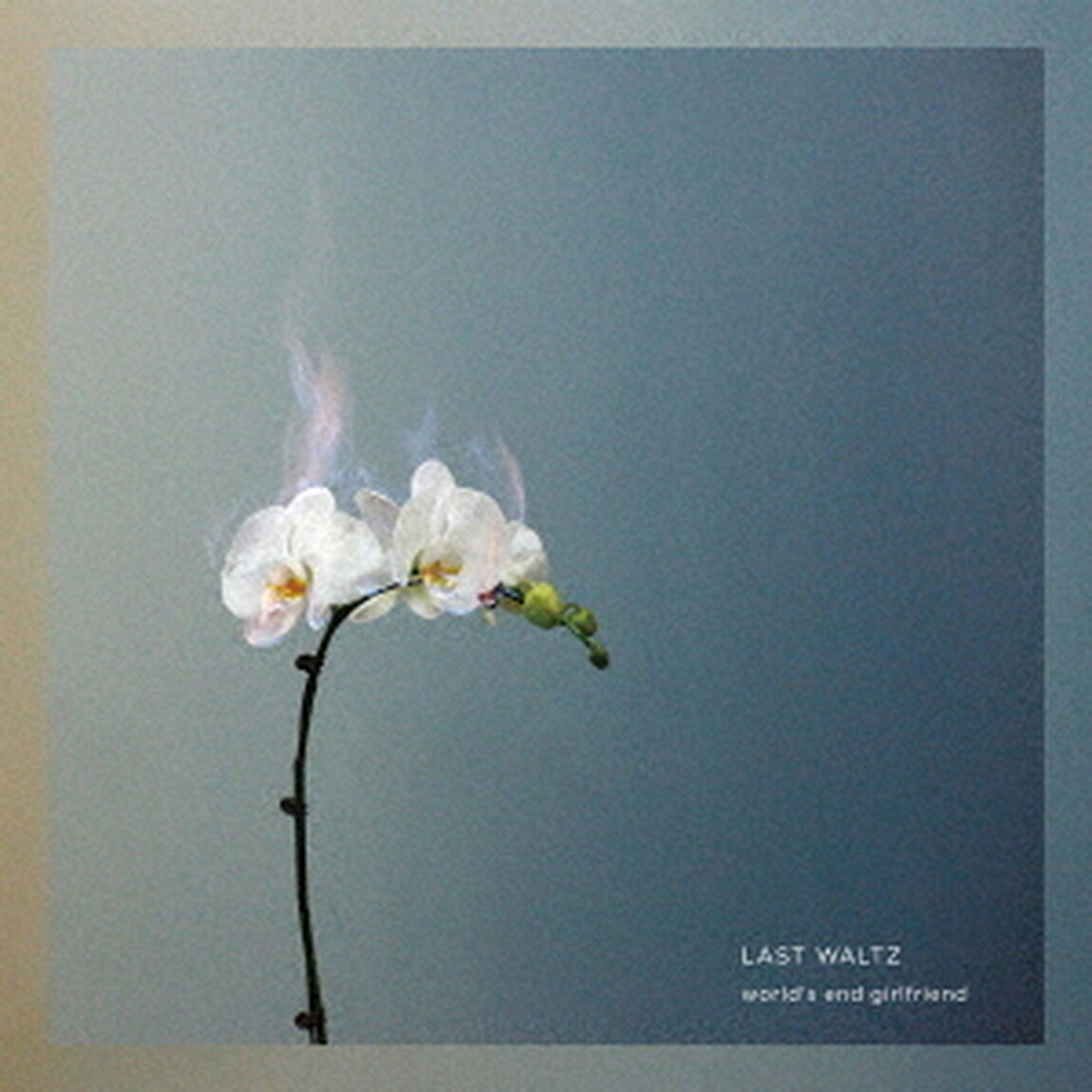 LAST　WALTZ（ＣＤ）