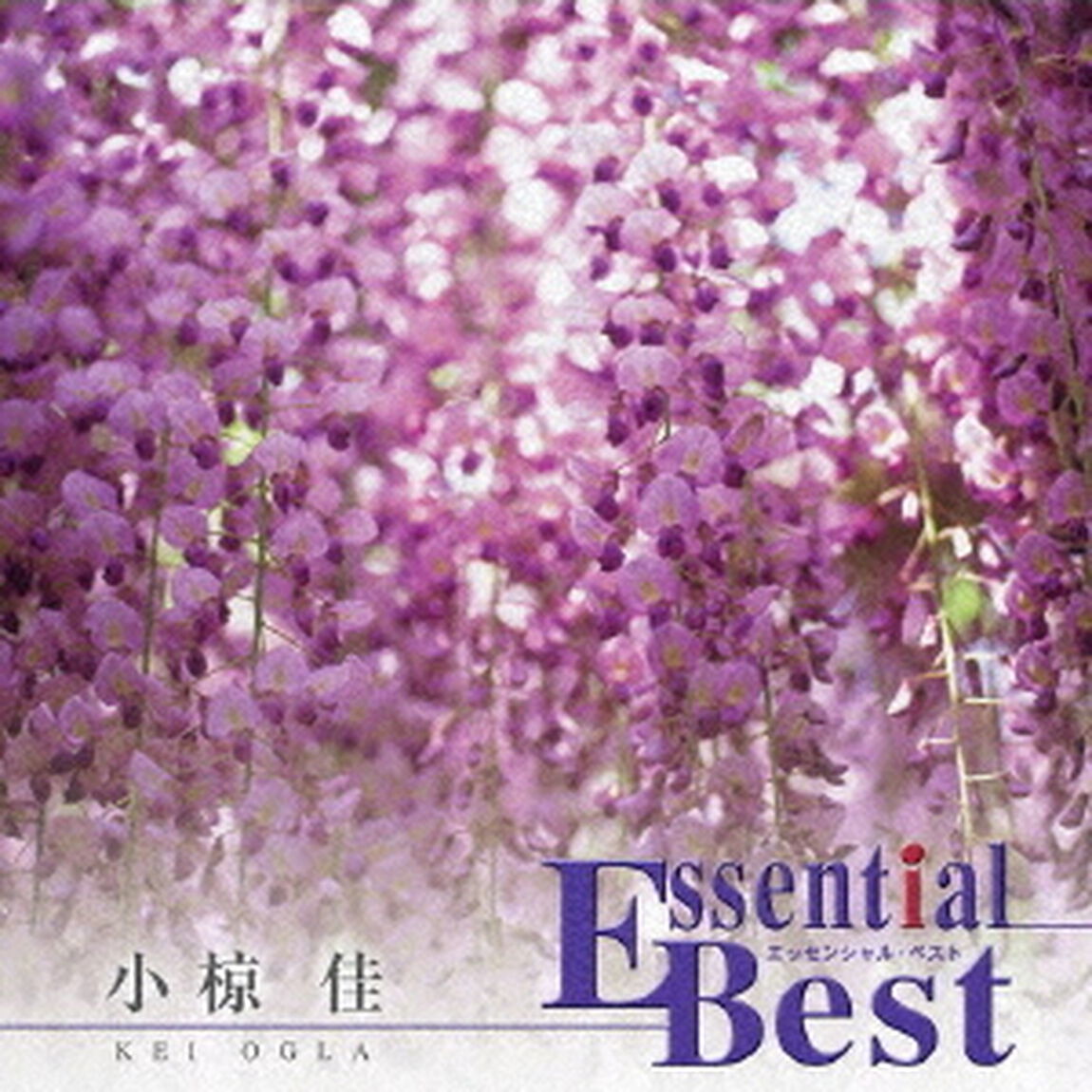 エッセンシャル・ベスト　1200　小椋佳（ＣＤ）