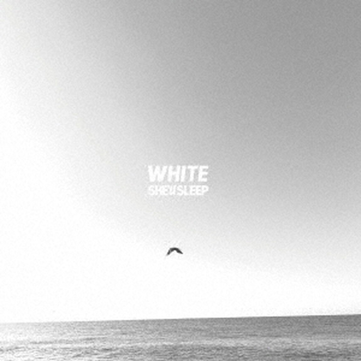 WHITE（ＣＤ）