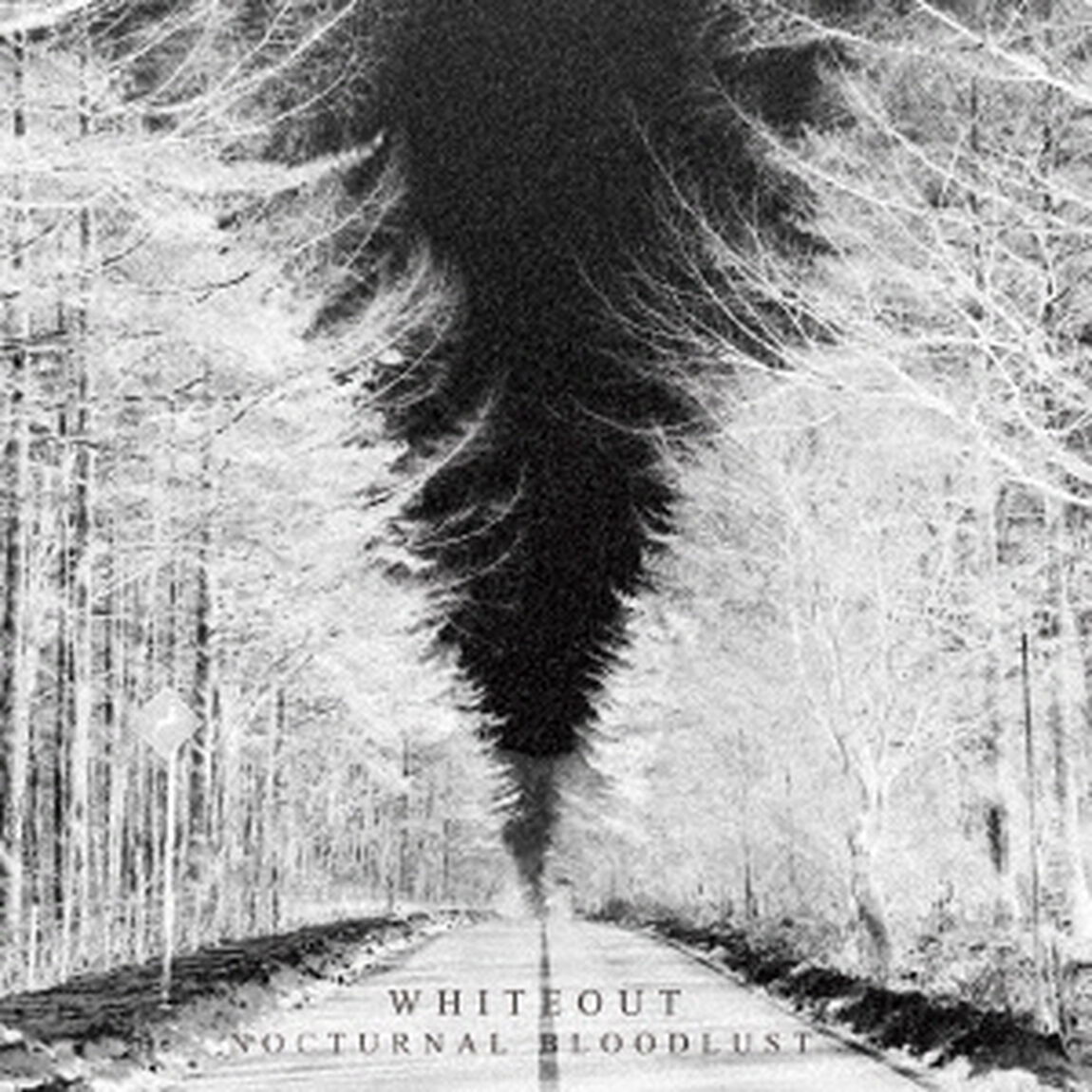 WHITEOUT（ＣＤ）
