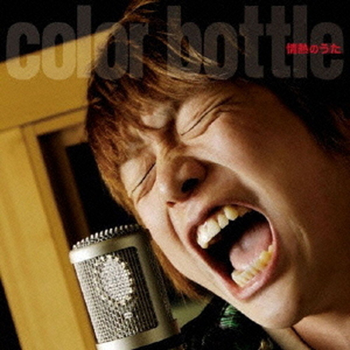 情熱のうた（ＣＤ）