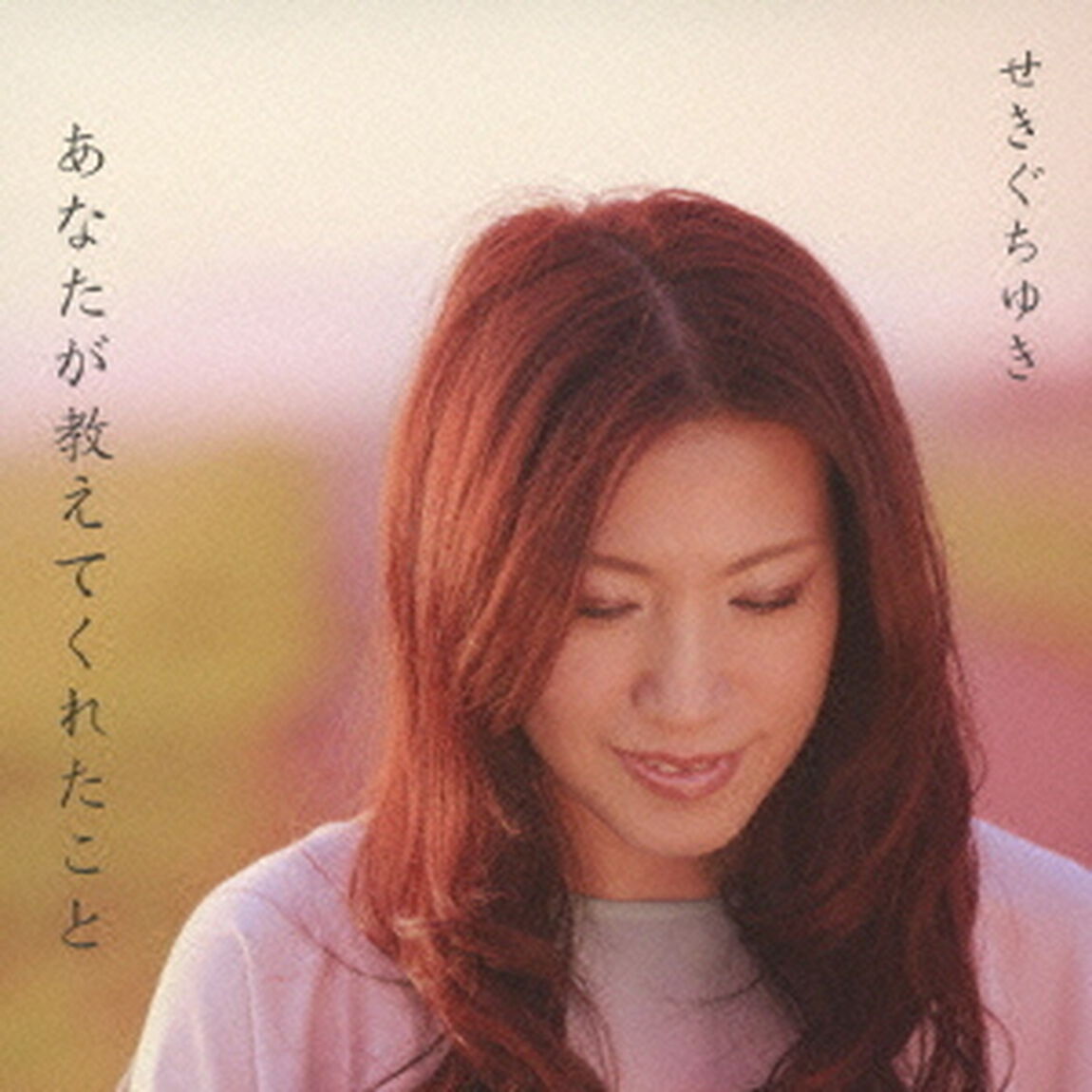 あなたが教えてくれたこと／渡良瀬の夢（CDシングル）
