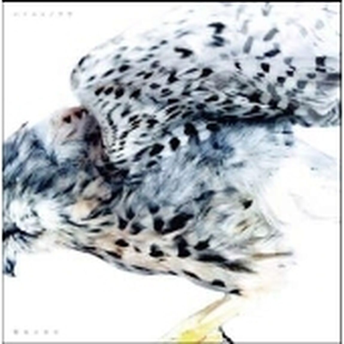 動物の身体（ＣＤ）