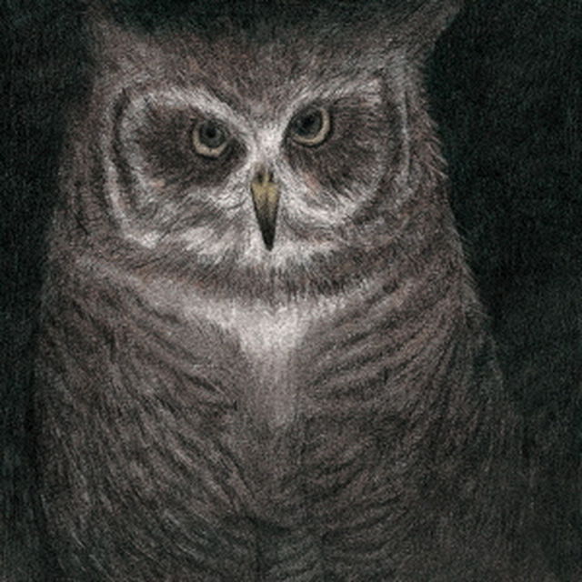 小沢健二／フクロウの声が聞こえる（完全生産限定盤/7インチサイズ紙ジャケット仕様）（ＣＤ）