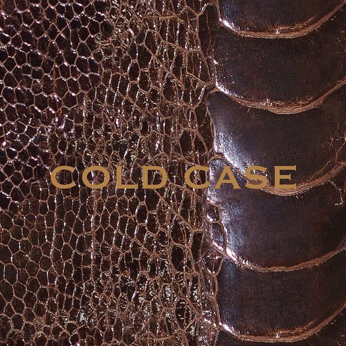 COLD　CASE（ＣＤ）