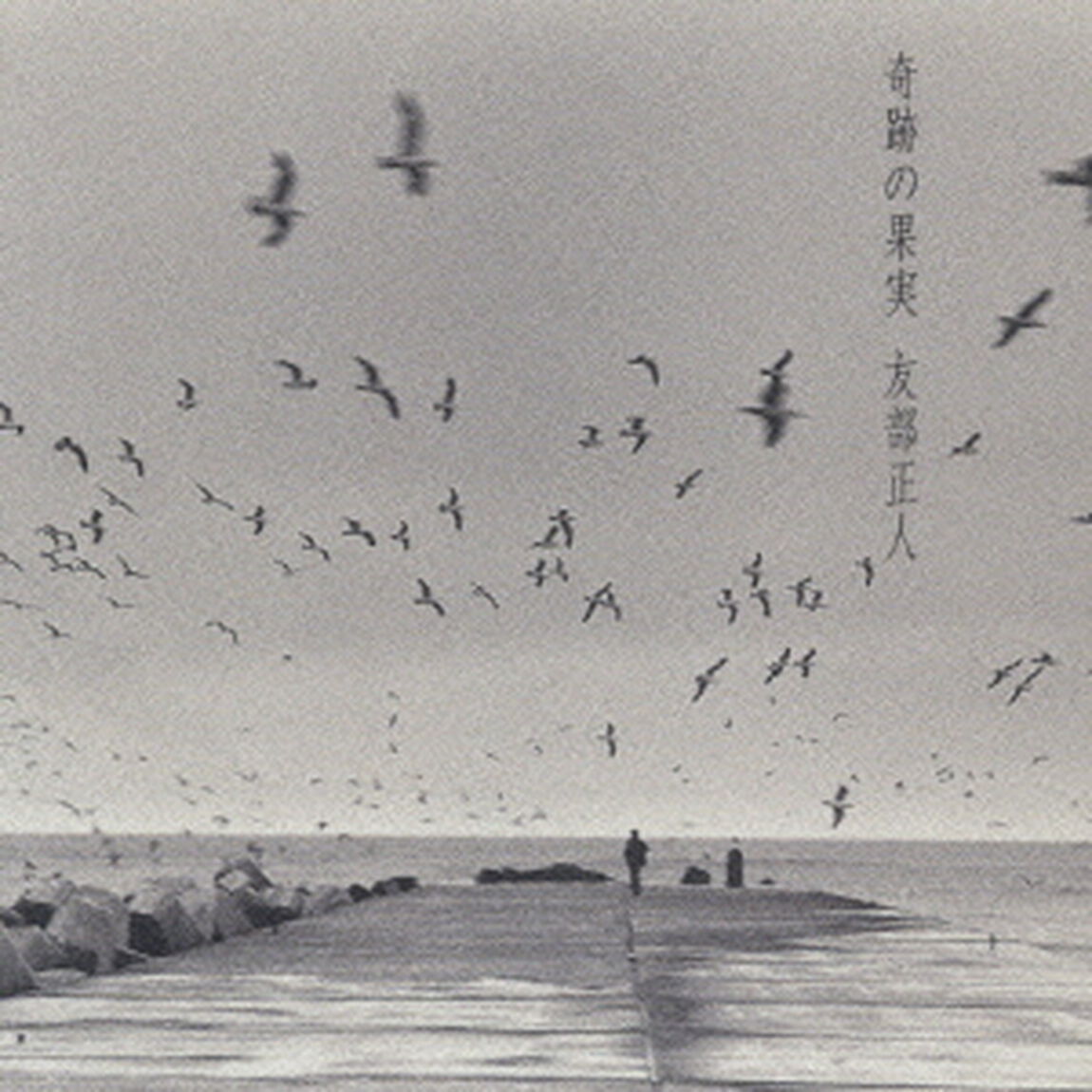 奇跡の果実（ＣＤ）