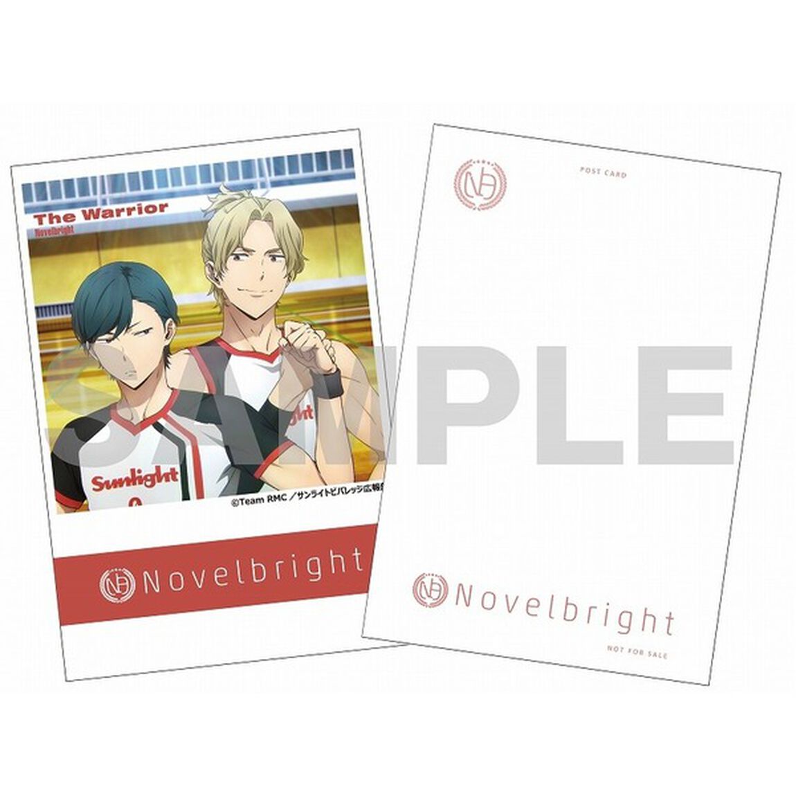 Novelbright／The Warrior（初回限定盤／CD+DVD）（セブンネット限定特典：ポストカード）（CDシングル）