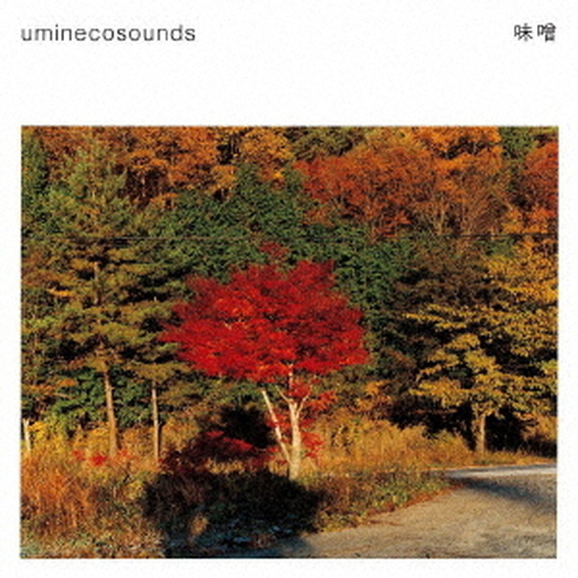 味噌（ＣＤ）