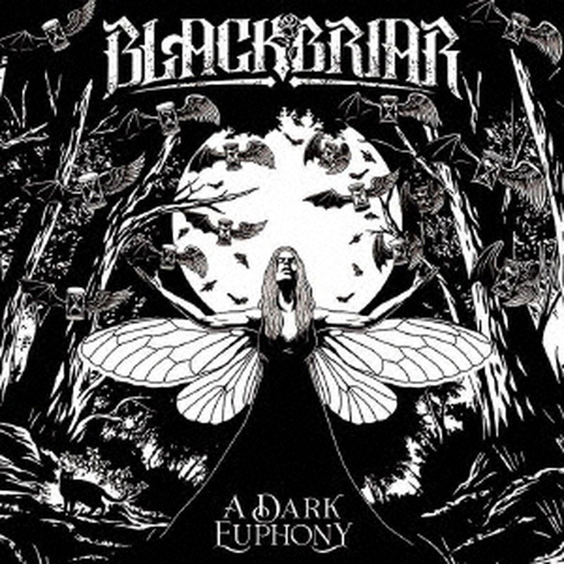 ア・ダーク・ユーフォニー（ＣＤ）