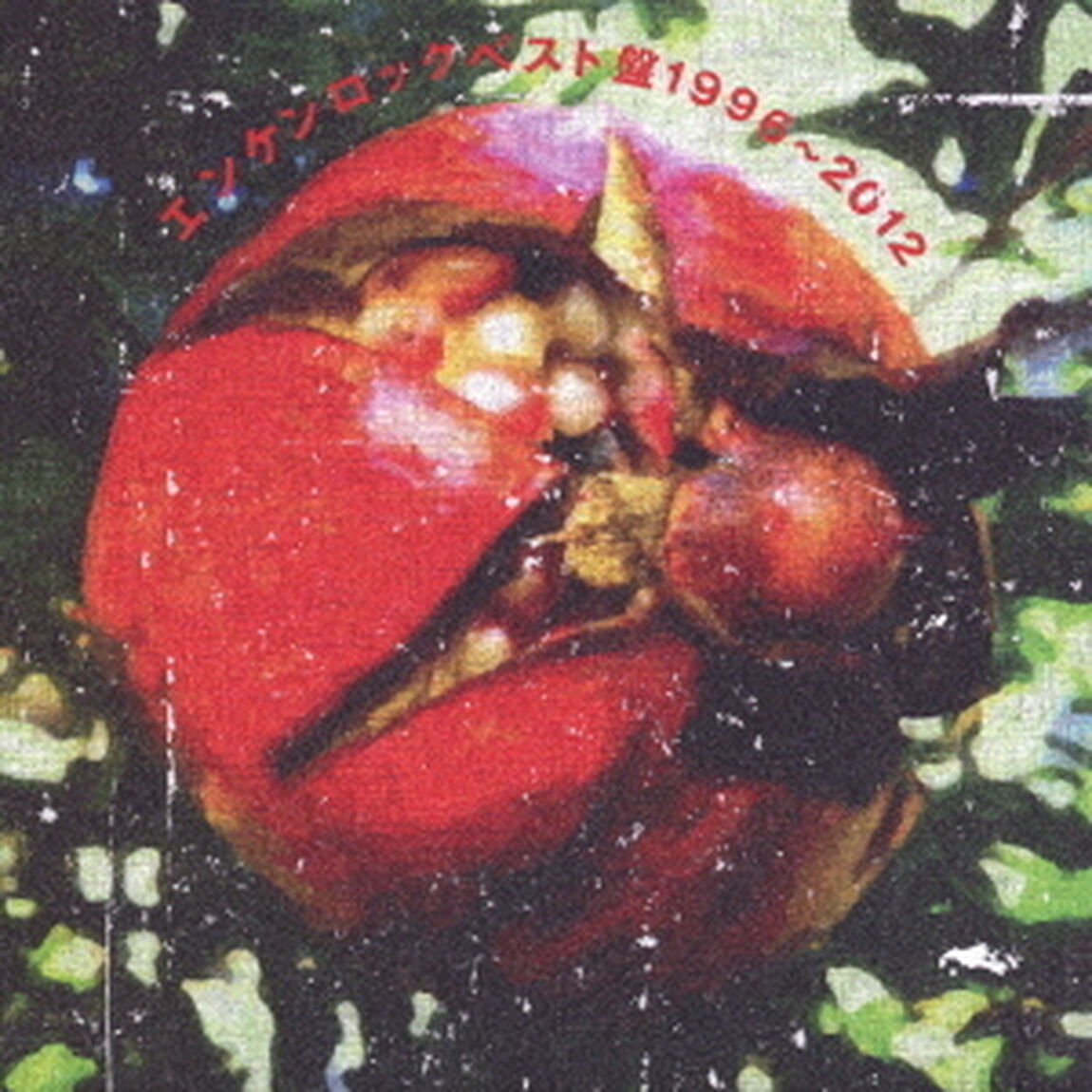 エンケンロックベスト盤1996〜2012（ＣＤ）