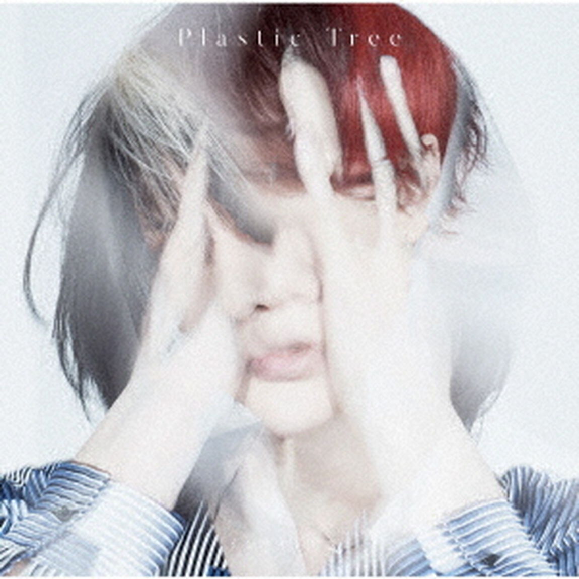 Plastic Tree／インサイドアウト（通常盤）（ＣＤ）