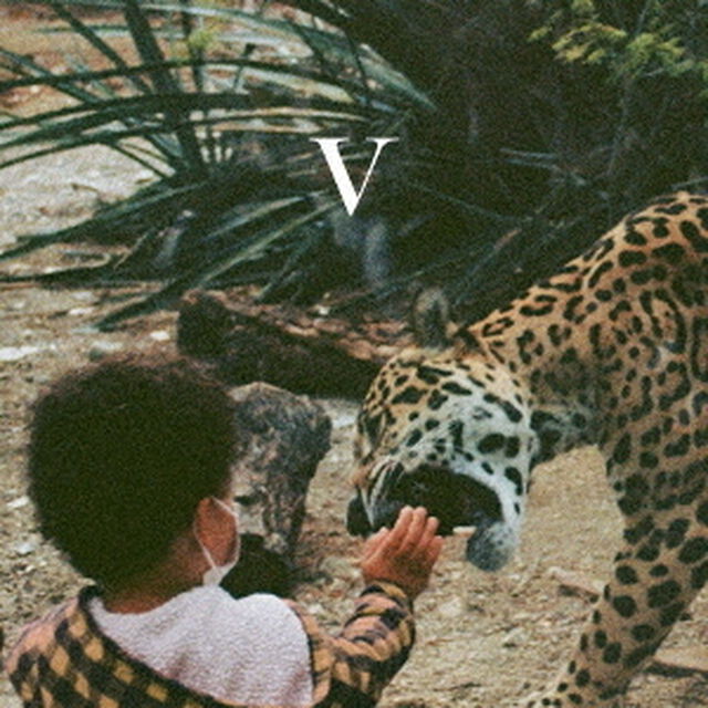 Ⅴ（ＣＤ）