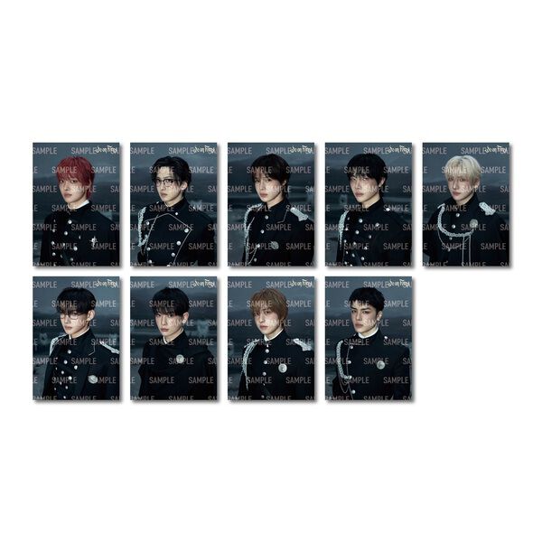 &TEAM／We on Fire（メンバー盤／CD）（輸入盤）（セブンネット限定
