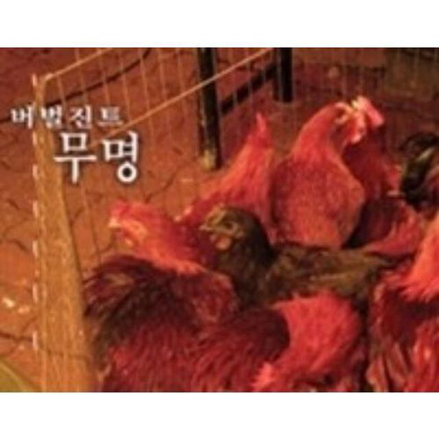 Verbal Jint 1集 - 無名 （輸入盤）（ＣＤ）