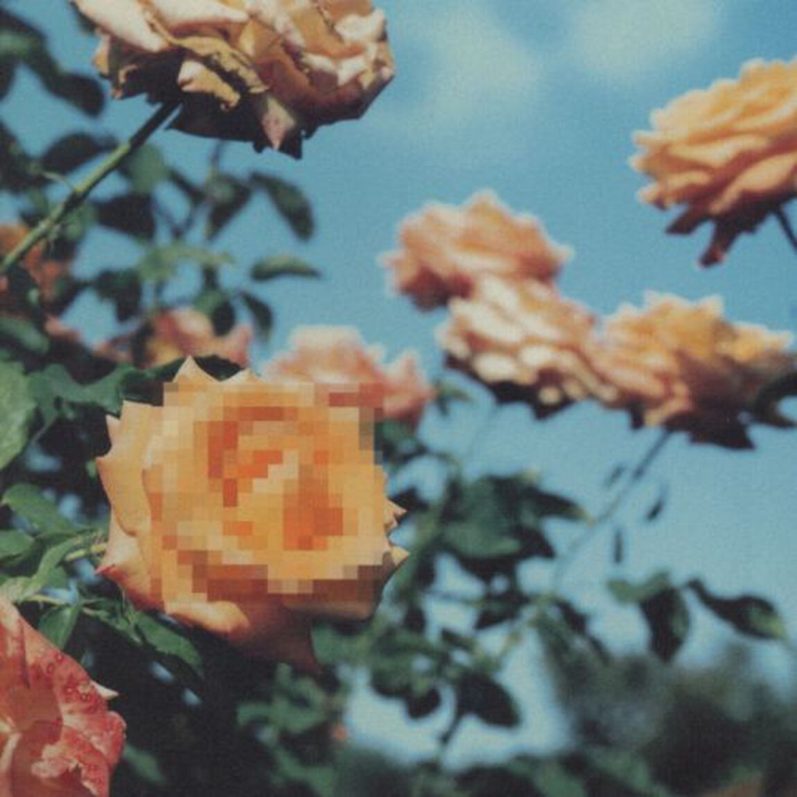Relation（ＣＤ）