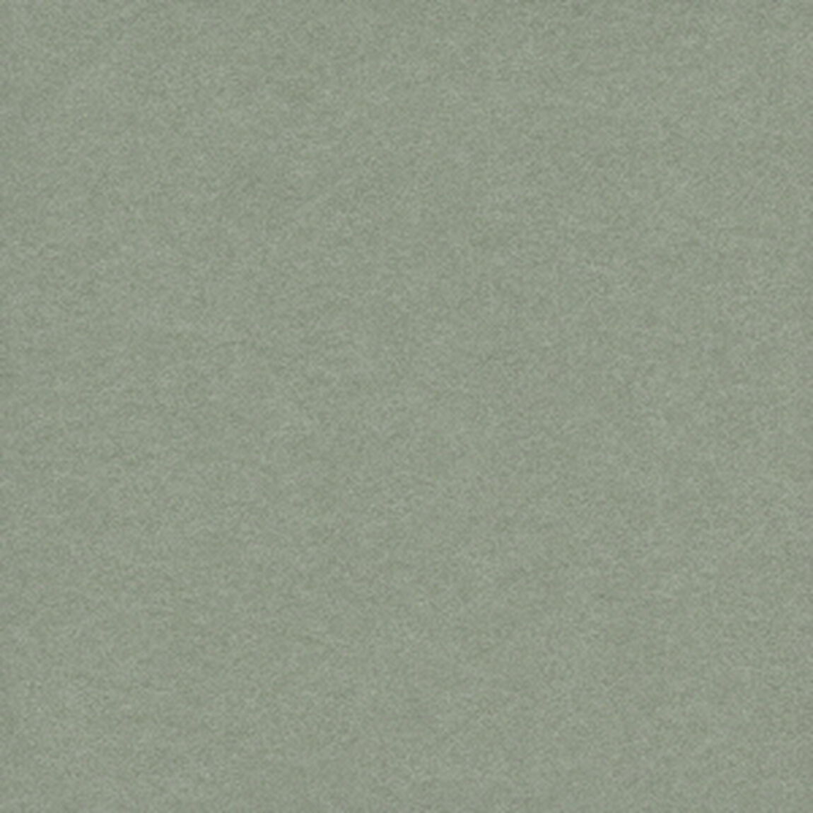 菅田将暉／COLLAGE（初回生産限定盤／CD+Blu-ray）（特典なし）（ＣＤ）