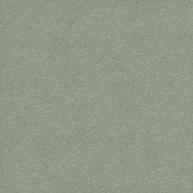 菅田将暉／COLLAGE（初回生産限定盤／CD+Blu-ray）（特典なし）（ＣＤ）